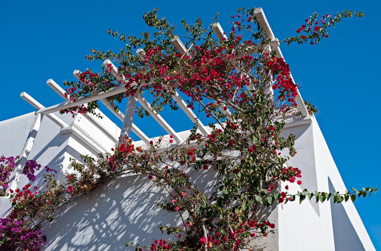 Casa Cozy Villa Mykonos Town Екстериор снимка