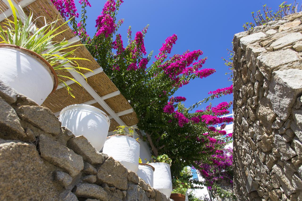 Casa Cozy Villa Mykonos Town Екстериор снимка